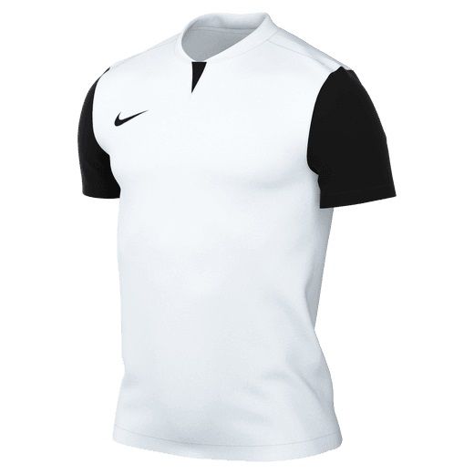dr0933-100.jpg dr0933-100.jpg